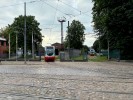 kuva