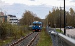 kuva