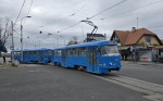 kuva