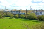 kuva