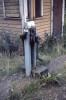 kuva