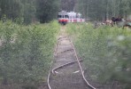 Satunnainen kuva